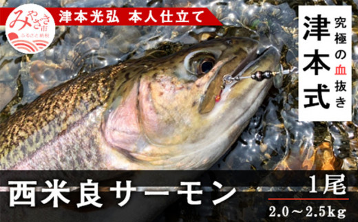 津本式 西米良サーモン１尾 津本光弘本人仕立て M135 004 宮崎県宮崎市 ふるさと納税 ふるさとチョイス