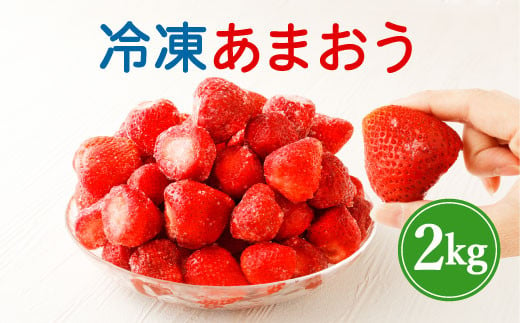 福岡県産 うるう農園の 冷凍 あまおう 2kg 苺 いちご