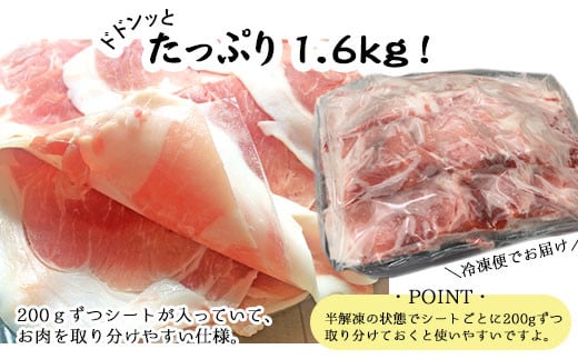 鹿児島県産 黒豚しゃぶしゃぶ用 計4.8kg 豚肉 