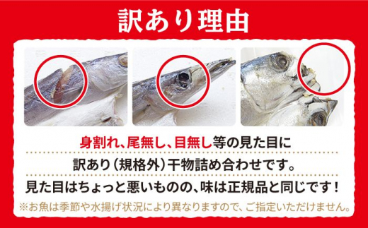 【最長3ヶ月】長崎出島屋お任せ 訳あり 干物 24枚 おかず 海鮮 おつまみ＜長崎旬彩出島屋＞ [LEZ003]