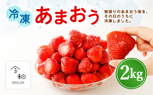 福岡県産 うるう農園の 冷凍 あまおう 2kg 有機質肥料 苺 いちご