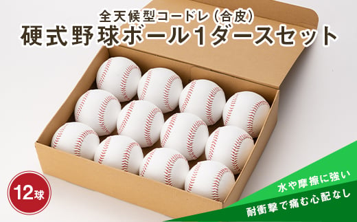 全天候型コードレ（合皮）硬式野球ボール1ダースセット F3S-0628 229969 - 山形県新庄市