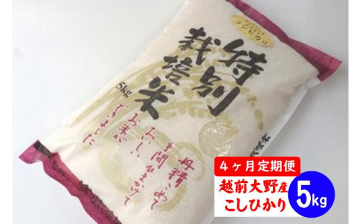 【令和5年産】【4ヶ月定期便】福井県認証の特別栽培米 コシヒカリ 5kg×4回