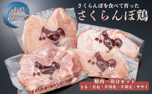 山形県産若鶏「山形さくらんぼ鶏」精肉一羽分セット（もも500g、むね500g、手羽先・手羽元 各２本、ささみ2本） にく 肉 お肉 鶏肉 山形県 新庄市 F3S-1043