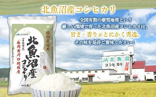 【3ヶ月連続お届け】北魚沼産コシヒカリ特別栽培米10kg（長岡川口地域）