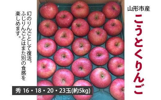 山形市産 こうとくりんご 5kg FY20-521