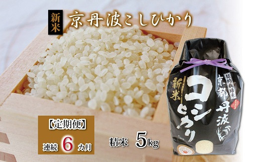 定期便】京丹波こしひかり 5kg×連続3カ月 精米 京都 コシヒカリ