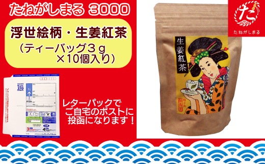 鹿児島県西之表市の【たねがしまる3000】種子島の逸品を寄附金額