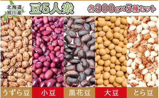 高級食材 旭川産の豆選りすぐり 豆５人衆 北海道旭川市 ふるさと納税 ふるさとチョイス