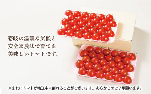 トマト とまと 甘い リピート 野菜 壱岐産 ミディトマト 朝食 贈り物 ギフト