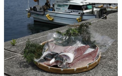 1本釣り 匠の漁 天然アジ ヤズ ブリの若魚 一本釣りセット アジ2尾 ヤズ1本相当2kg 午前中の着指定不可 10月 12月の発送不可 北海道 東北地方 沖縄 離島への配送不可 愛媛県伊方町 ふるさとチョイス ふるさと納税サイト