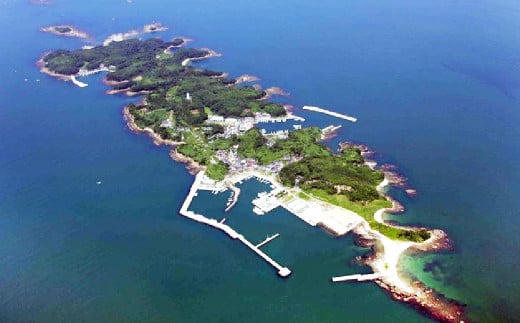 【藍島】海直！特選漬けセット（鯛・ひらす） 各80g×2 計320g