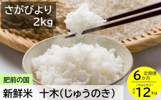 F 45 肥前の国 新鮮米 十木 さがびより 2kg 6か月定期便 佐賀県鹿島市 ふるさと納税 ふるさとチョイス