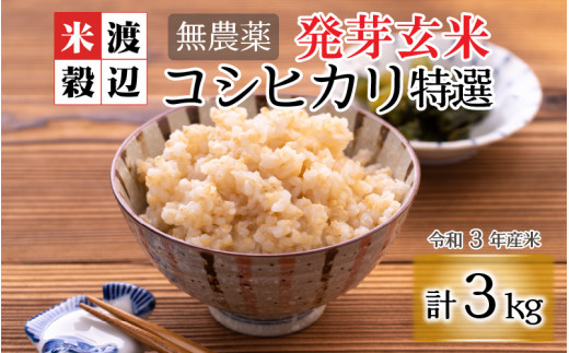 令和3年産 発芽玄米 無農薬 福井県産 コシヒカリ特選 真空パック 3kg 玄米以上の栄養価と白米に近い柔らかさ A 2914 福井県坂井市 ふるさと納税 ふるさとチョイス