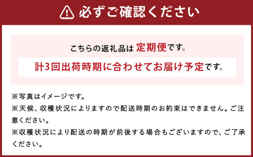 年3回定期便 数量限定 旬のフルーツ定期便 梨 シャインマスカット あまおう 福岡県筑後市 ふるさと納税 ふるさとチョイス