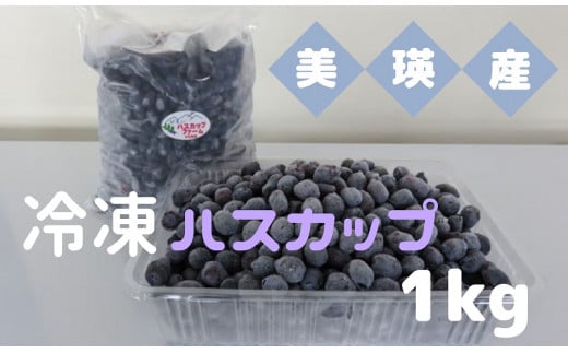 びえいハスカップファーム　美瑛産冷凍ハスカップ1ｋｇ[016-48] 682426 - 北海道美瑛町