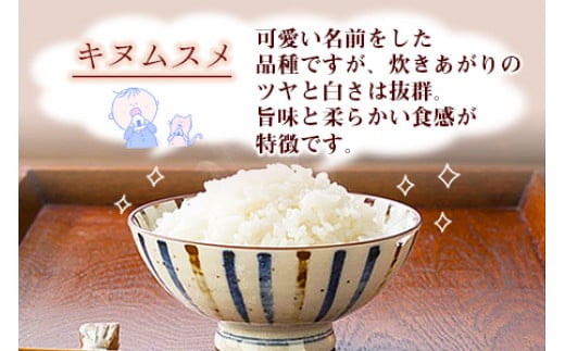  特別栽培米「粋」キヌムスメ 