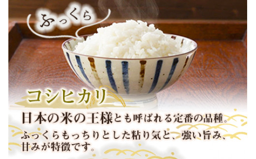 ＜令和5年度 特別栽培米「粋」コシヒカリ 5kg＞