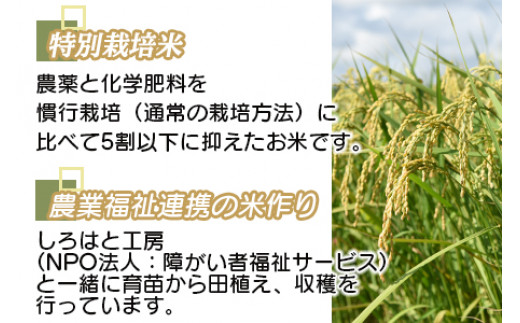 ＜令和5年度 特別栽培米「粋」ヒノヒカリ5kg ＞ ※入金確認後、翌月末迄に順次出荷します。