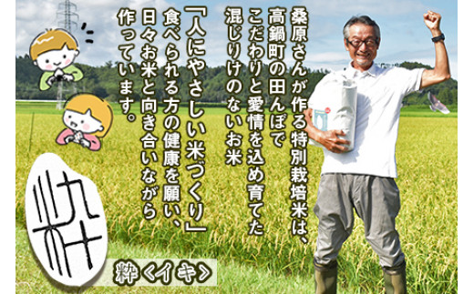 ＜令和5年度新米 特別栽培米「粋」コシヒカリ 10kg＞