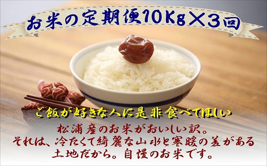 おすすめ 毎月 米のふるさと納税を探す ふるさとチョイス