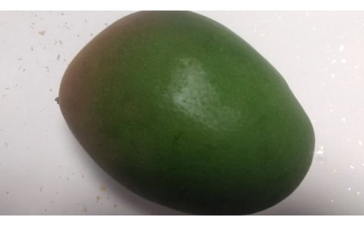 先行予約！！【８月発送】大きな緑色のマンゴー（キーツ）1個　A-072　