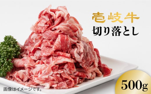 壱岐牛 切り落とし 500g [壱岐市][壱岐市農業協同組合][JBO016] お肉 牛肉 国産牛 切り落とし 牛丼 生姜焼き 10000 10000円 1万円