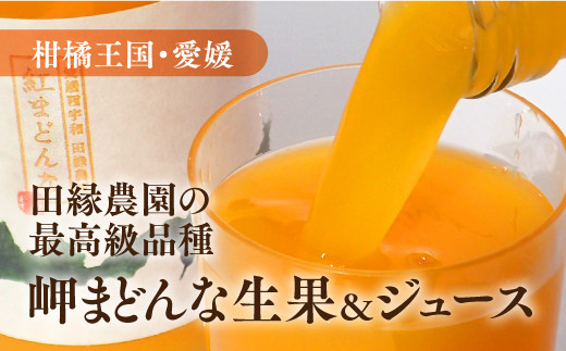 田縁農園の岬 はな まどんな生果 紅まどんなジュースセット 限定100 愛媛県伊方町 ふるさと納税 ふるさとチョイス