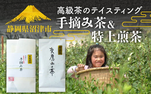【価格改定予定】高級茶のテイスティング 274248 - 静岡県沼津市