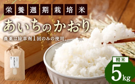新米 幸田町産「栄養週期栽培米」あいちのかおり 5kg 白米 精米 お米