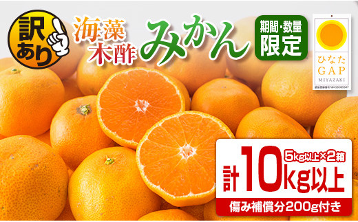 21年版 みかん 柑橘類のふるさと納税おすすめランキング ふるさと納税 ふるさとチョイス