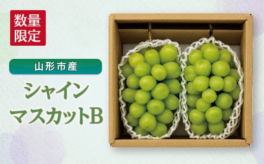 山形市産 シャインマスカットｂ 秀1 4kg 2房 F2y 2331 山形県 ふるさと納税 ふるさとチョイス