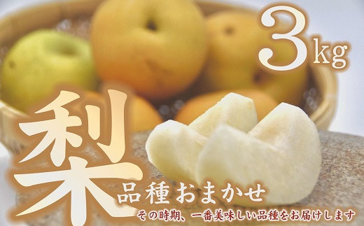 ※画像はイメージです