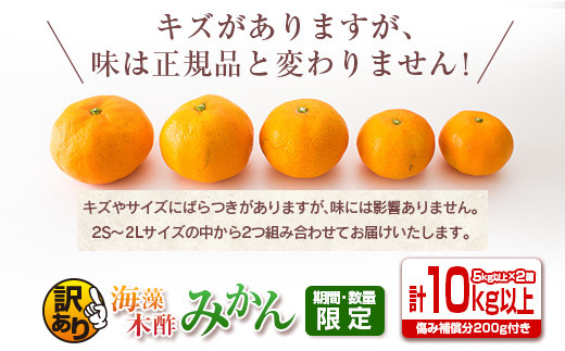 7 訳あり 期間 数量限定 海藻木酢みかん 計10kg 傷み補償分0g付き 宮崎県日南市 ふるさと納税 ふるさとチョイス