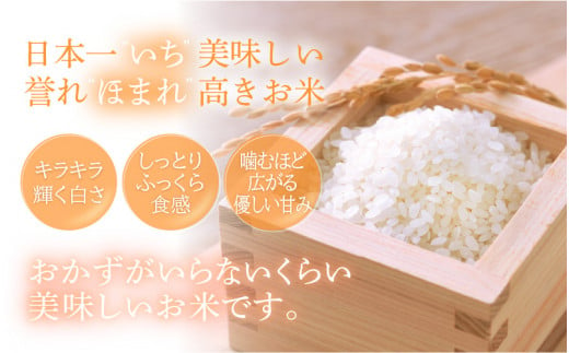 特A通算6回！お米 いちほまれ 5kg 令和5年 令和6年 福井県産【米 5キロ