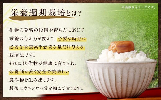幸田町産「栄養週期栽培米」あいちのかおり 10kg 白米 精米 お米