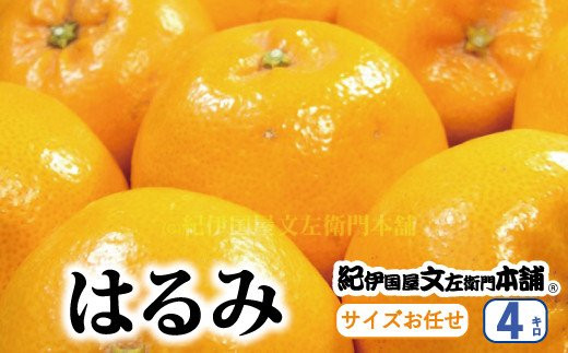 はるみ 約4kg/サイズおまかせ　※2024年1月下旬～3月中旬頃に順次発送予定(お届け日指定不可)　紀伊国屋文左衛門本舗　【kztb460A】 763843 - 和歌山県古座川町