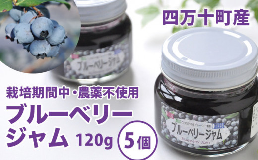 Qdr 60 栽培期間中 農薬不使用ブルーベリー使用 手づくりブルーベリージャム 1g 5個 高知県四万十町 ふるさと納税 ふるさとチョイス Qdr 60 栽培期間中 農薬不使用ブルーベリー使用 手づくりブルーベリージャム 1g 5個 高知県四万十町 ふるさと納税 ふるさとチョイス
