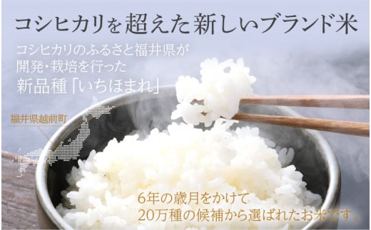無農薬有機米コシヒカリ 玄米20kg 福井・令和5年新米 精米無料・食味