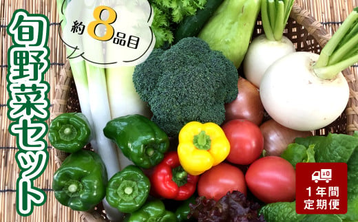 【定期便】 旬な野菜の詰め合わせセット (8品程度) 1年間 毎月お届け AWA3000