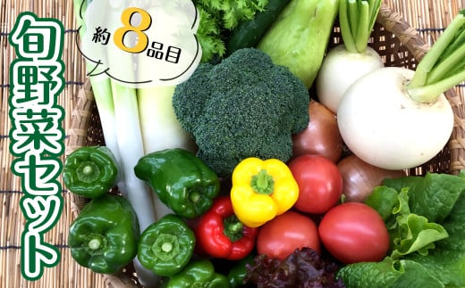 あわ地区　旬な野菜の詰め合わせセット　（8品程度）AWA009 316442 - 高知県須崎市