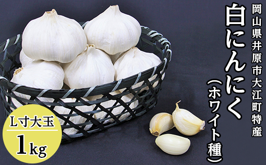 A-30白にんにく(L寸大玉)1kg 215828 - 岡山県井原市