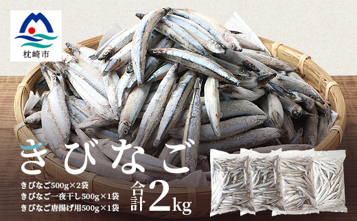 枕崎産 きびなご 合計2kg 冷凍 一夜干し 唐揚げ用 詰め合わせ 鹿児島 特産 608 鹿児島県枕崎市 ふるさと納税 ふるさとチョイス