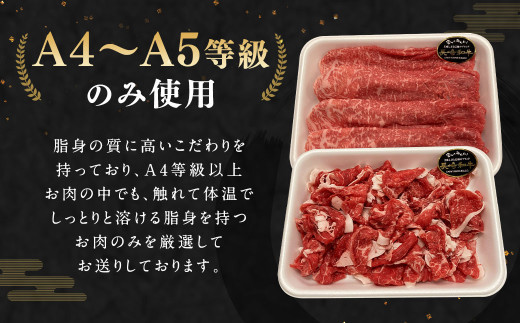 長崎和牛 すき焼き・煮込みセット 計600g 赤身 もも肉