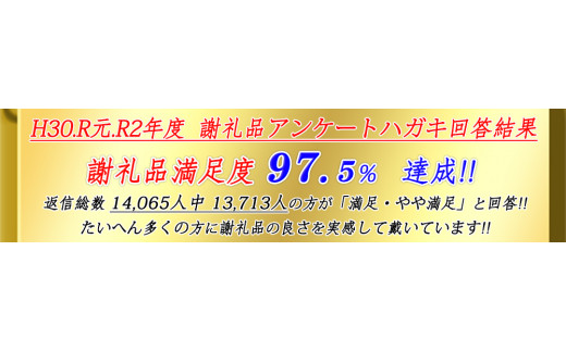 高速配送 ふるさと納税 東京西川 エアーポータブル モバイルマット 美しい Smartcpns Com