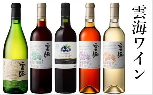 雲海ワインセット5種 国産100％ 赤 白 飲み比べ （02-107）