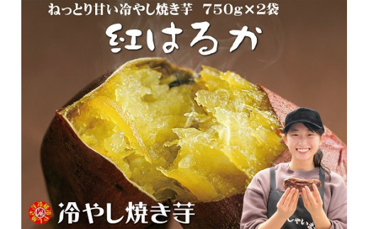 焼き芋 蜜たっぷり 冷やし焼き芋 ひえひえ君 紅はるか 1 5 750g 2 H047 008 愛知県碧南市 ふるさと納税 ふるさとチョイス