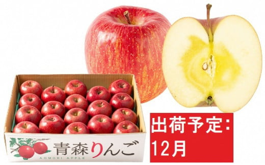 12月 特A 蜜入り サンふじ 約5kg 糖度13度以上【青森りんご・マルコウ