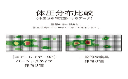 東京西川 西川エアーレイヤー98 レイヤーシート ベーシック ダブルサイズ 配色 ラベンダー P244sm 滋賀県近江八幡市 ふるさと納税 ふるさとチョイス