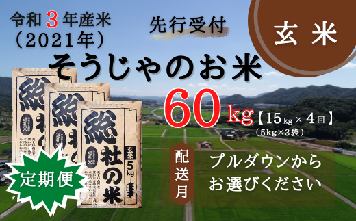 令和3年産そうじゃのお米 玄米 定期便 60kg 15kg 4回 岡山県総社市 ふるさと納税 ふるさとチョイス